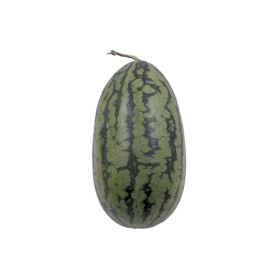 Torpedo Watermelon 