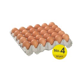 CP Egg with Paper Pulp Tray No.4