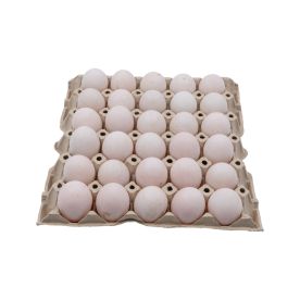 Duck Egg with Paper Pulp Tray Medium Size