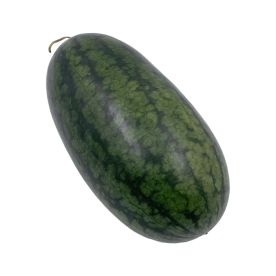 Torpedo Watermelon Large Size