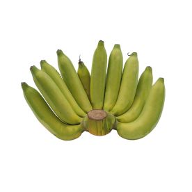 Cavendish Banana Large Size Half-Ripe
