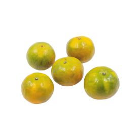 ส้มสายน้ำผึ้ง เบอร์ 5 (คัดเกรด)