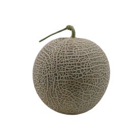 Green Japanese Melon