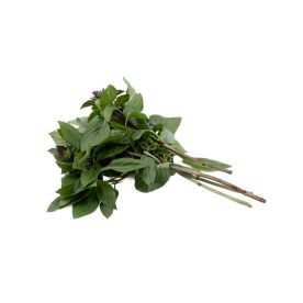 Thai Sweet Basil with Leaves (Graded)