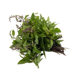 Red Holy Basil with Leaves (Graded)