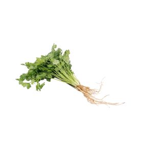 Thai Coriander with Roots (Graded)