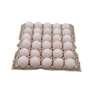 Duck Egg with Paper Pulp Tray Large Size