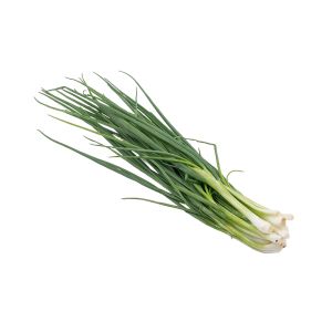 Spring Onion without Root