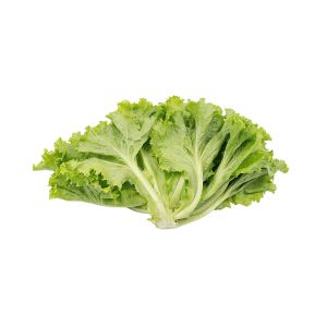 Lettuce (Graded)