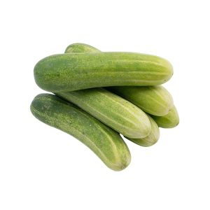 Cucumber Medium Size (Graded)